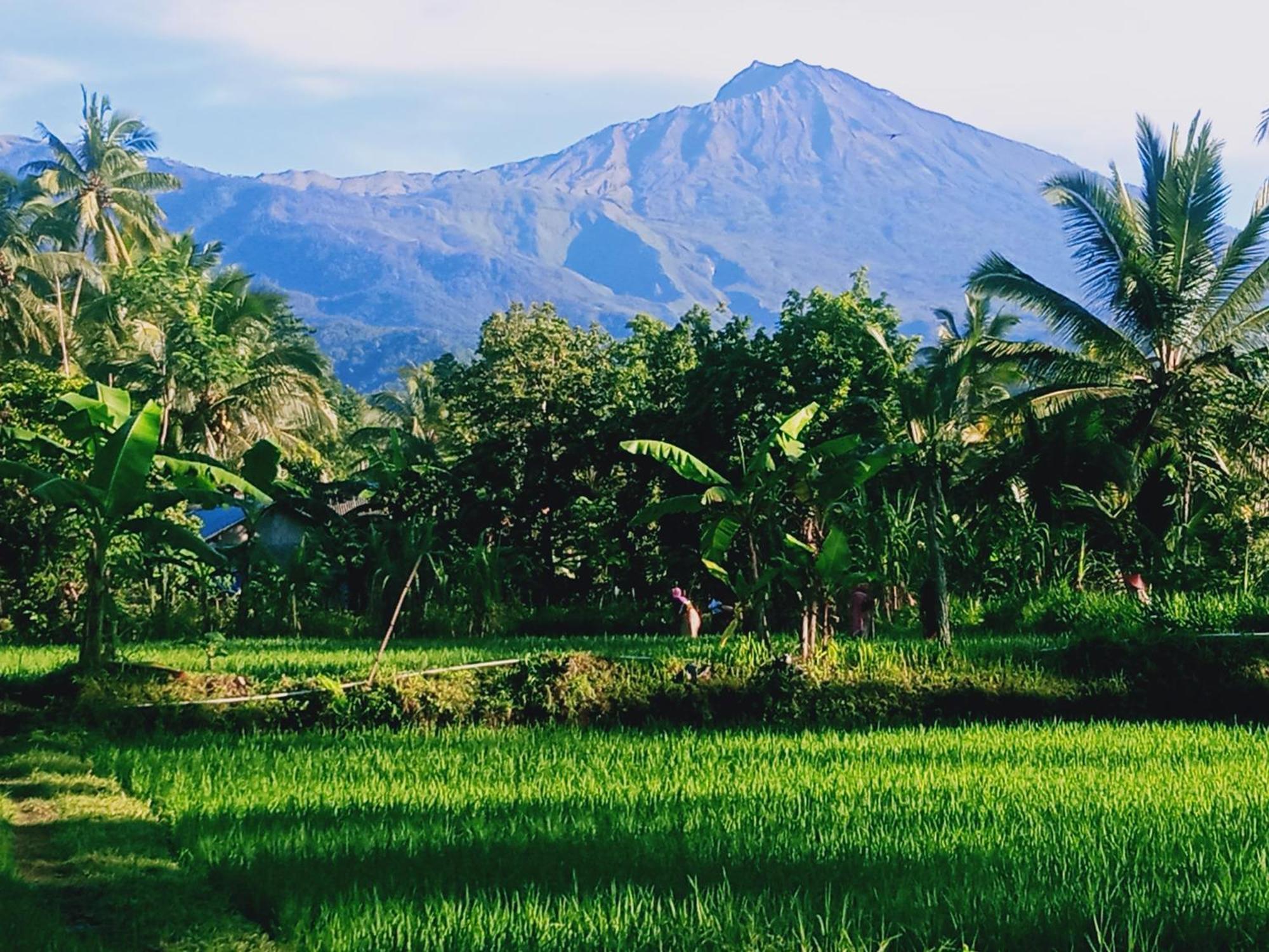 Coconut Homestay Тетебату Екстериор снимка