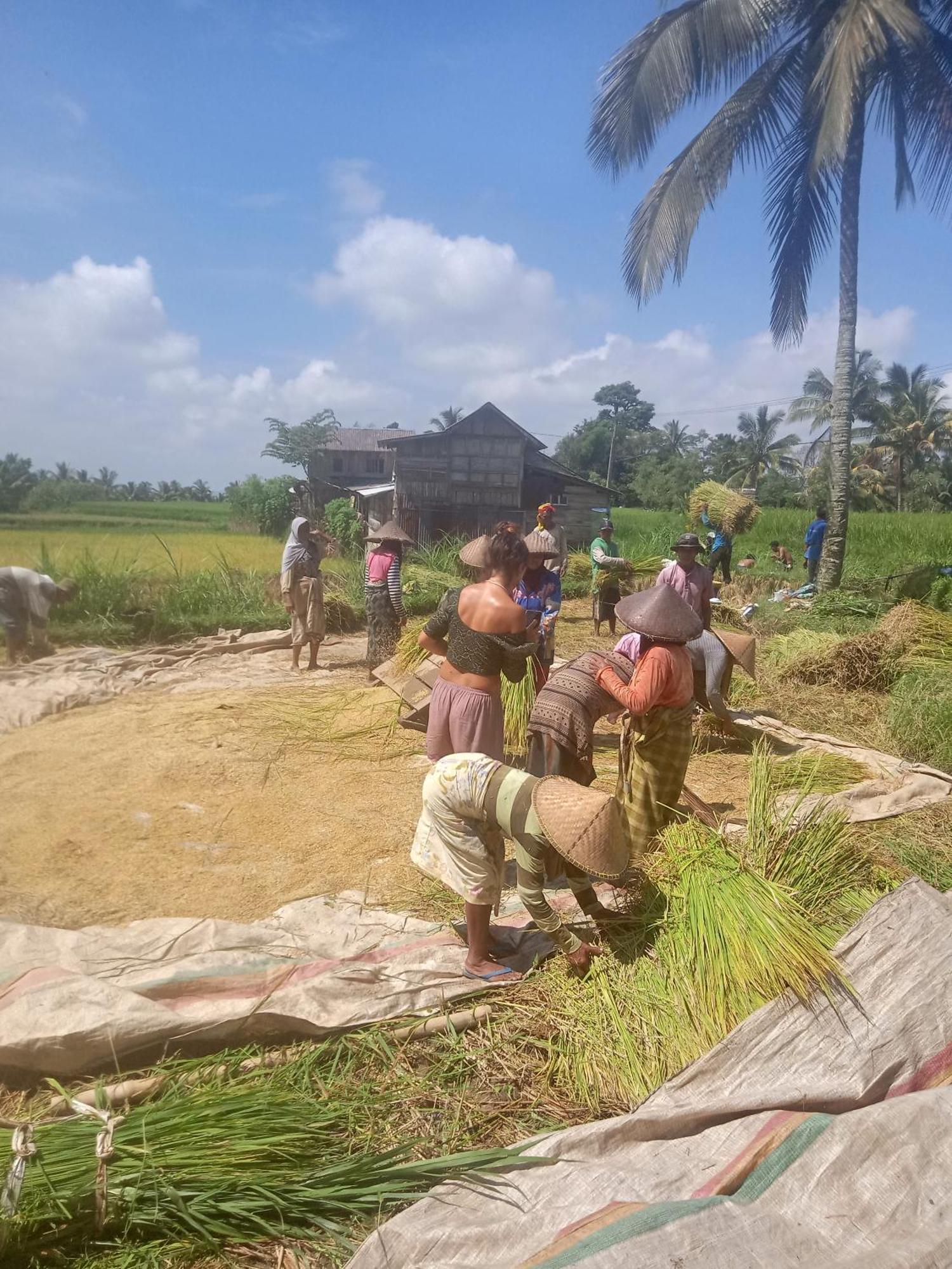 Coconut Homestay Тетебату Екстериор снимка