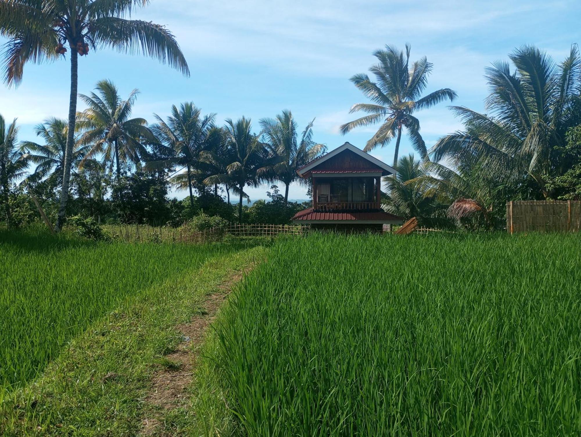 Coconut Homestay Тетебату Екстериор снимка