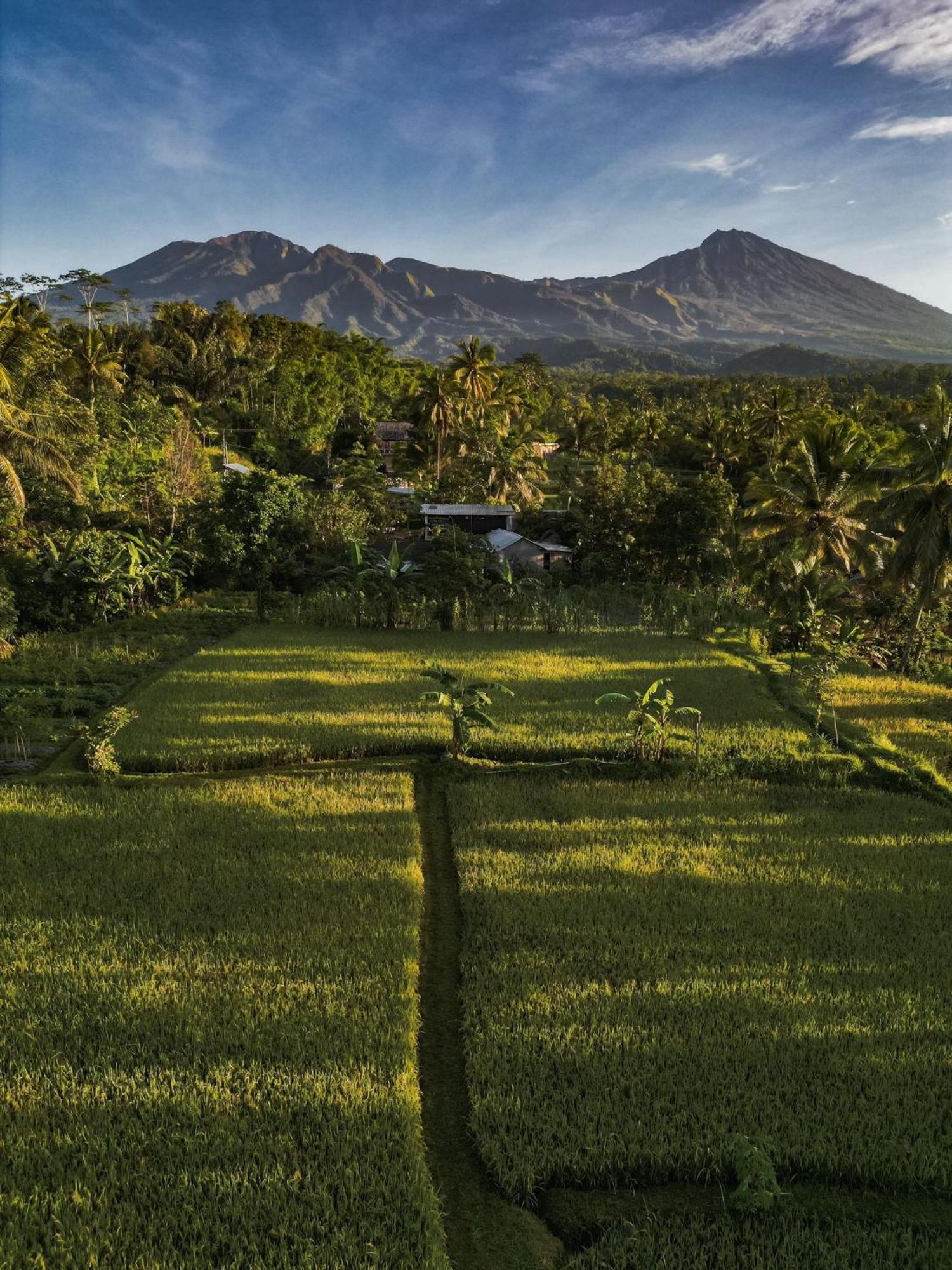 Coconut Homestay Тетебату Екстериор снимка