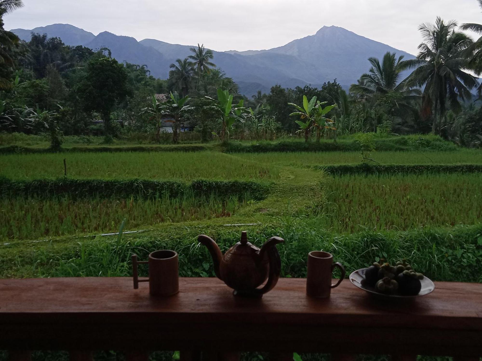 Coconut Homestay Тетебату Екстериор снимка
